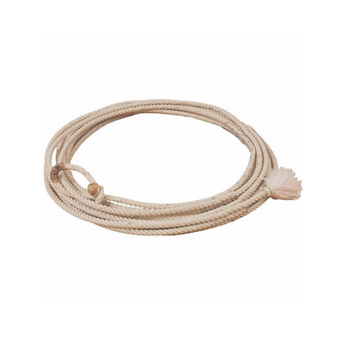 Lasso